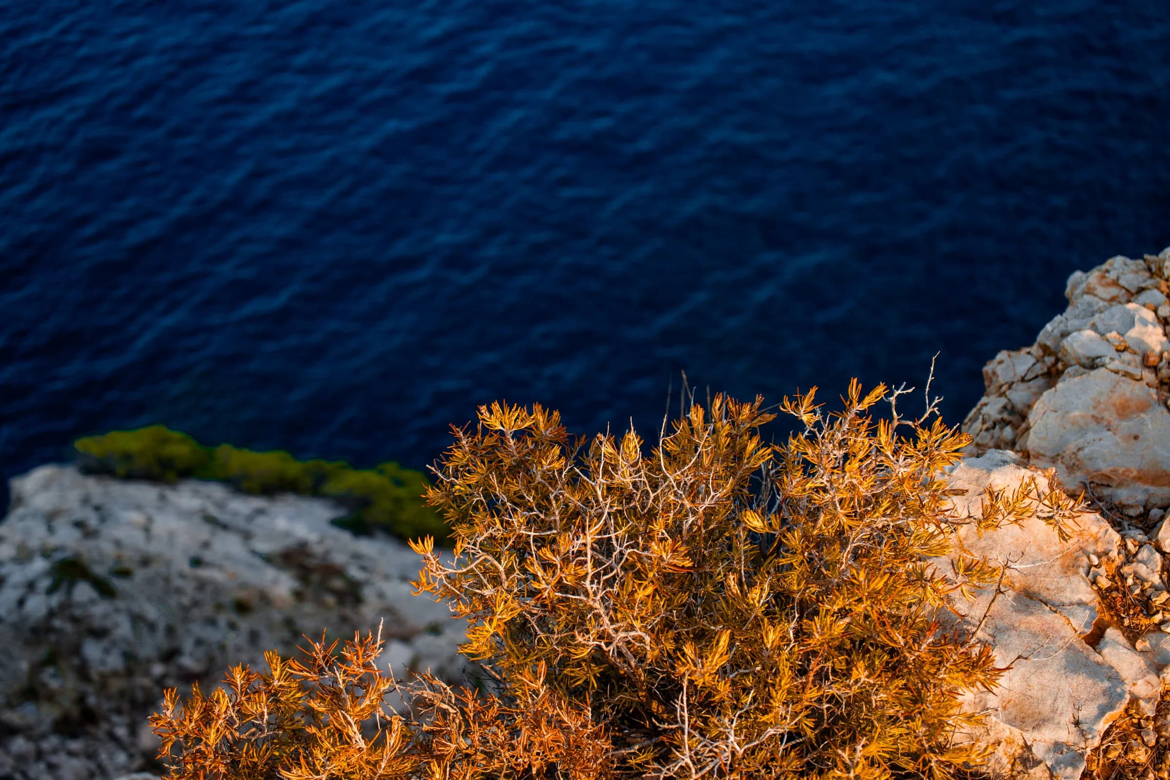 A view down a pale cliff face into deep blue water