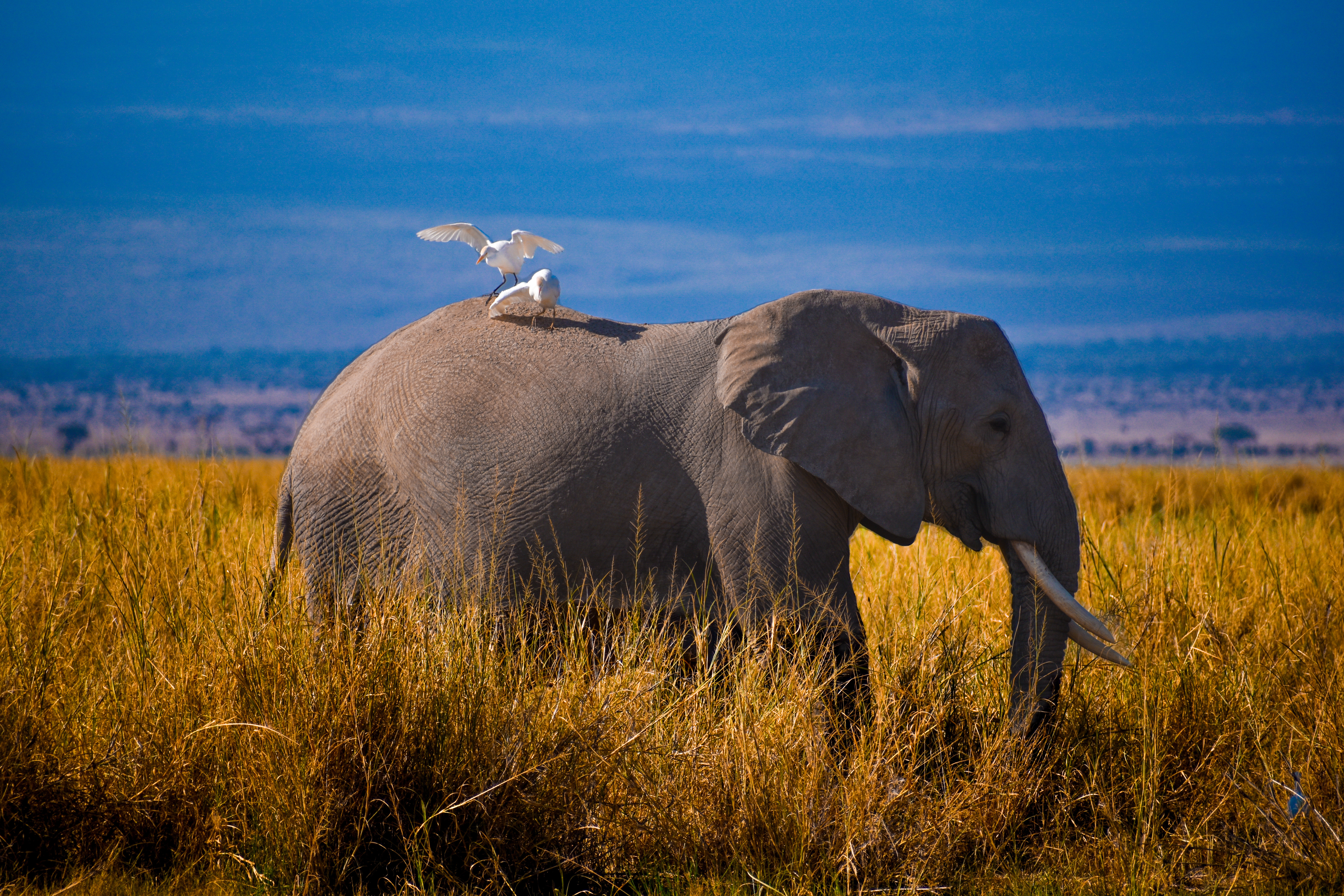 17b1f96b 346c 4775 8d6d 01bb2849fff2