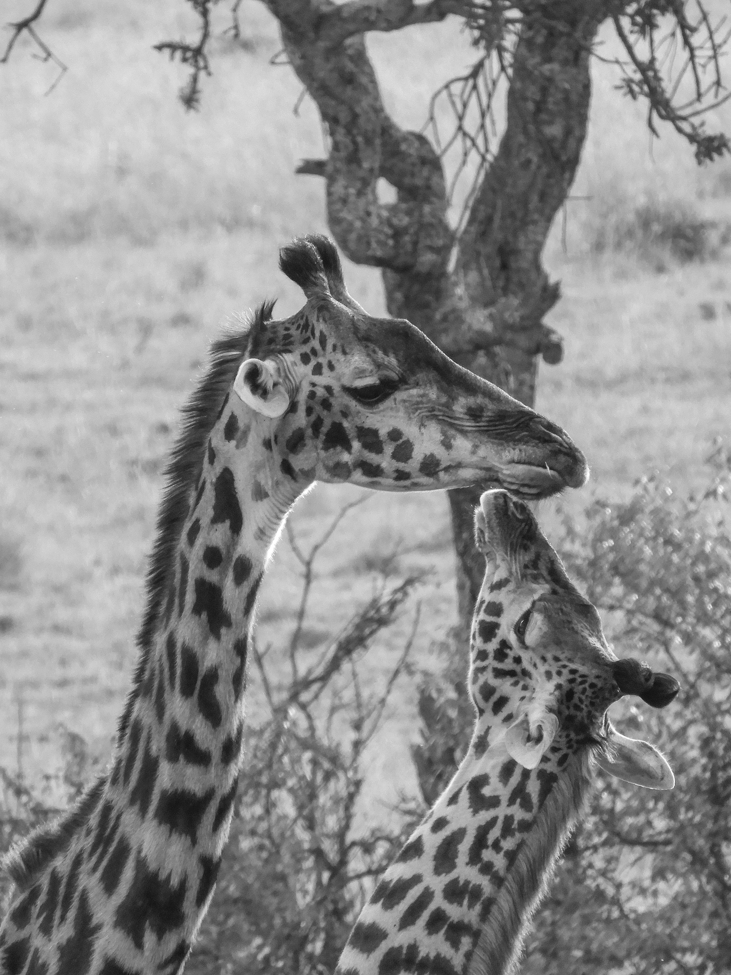 251aa160 Ce08 475f 9223 D07cfc641472