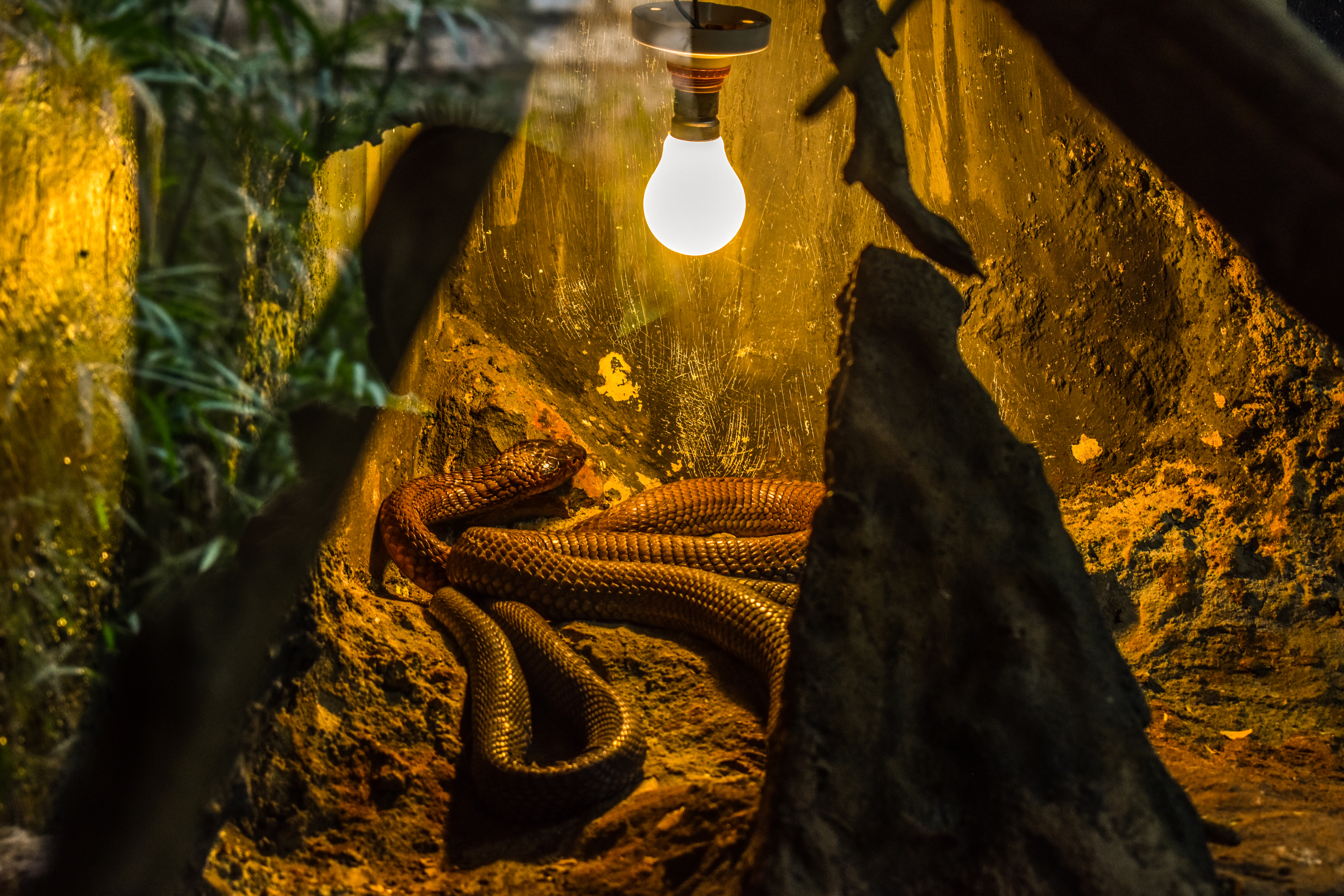 623a63da B760 4d28 9695 82584567ee20